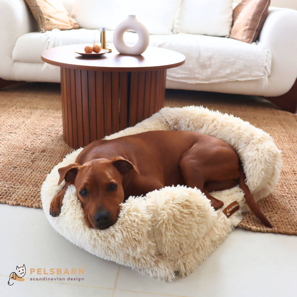Dog beds clearance sale top